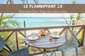Le Flamboyant 2 0